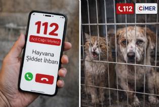 Hayvanlara Yönelik Şiddet Artık 112 Acil Hattına da Bildirilebilecek